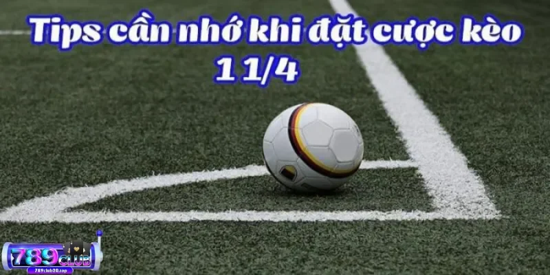 cach da keo chap 1 4 hieu qua nhat Một số kinh nghiệm khi chơi kèo chấp 1/4
