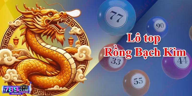 cach thuc soi cau rong bach kim hoat dong Những cách soi cầu rồng bạch kim hiệu quả