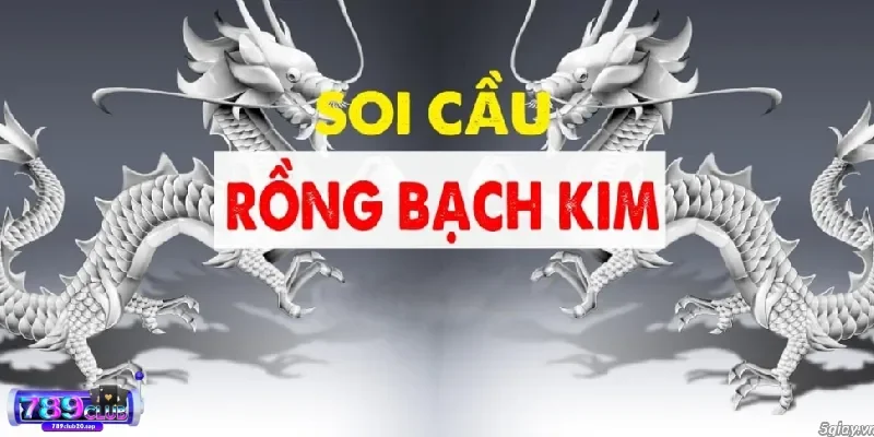 soi cau rong bach kim la gi Tìm hiểu về rồng bạch kim